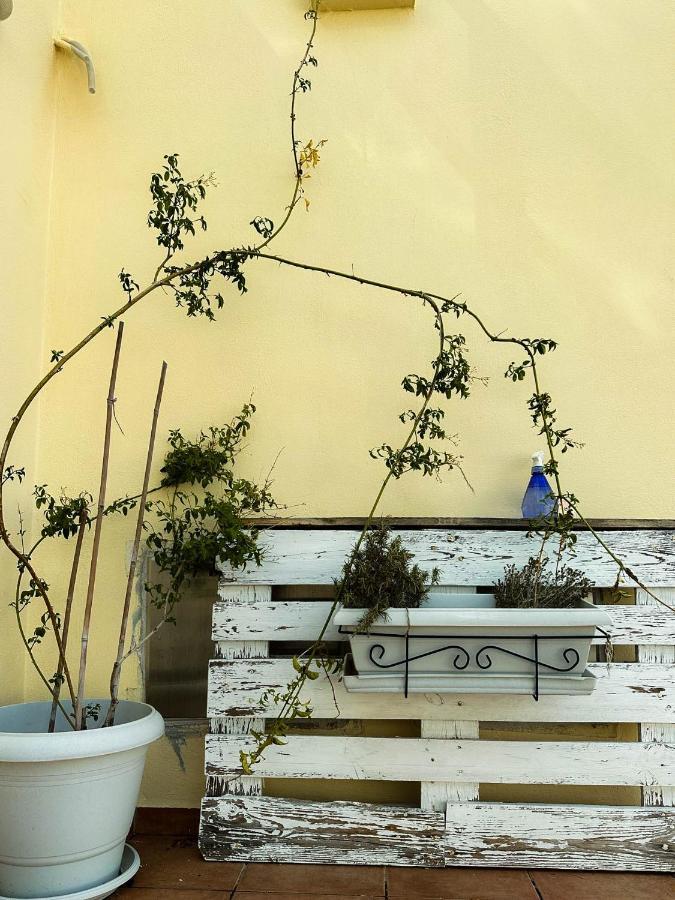 Beachnest Apartment Ágios Nikólaos Eksteriør bilde